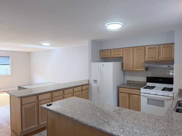 1951 S Wells ST #1, Chicago, IL 60616