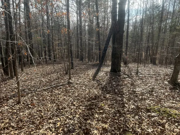 0 Mt Carmel Rd, Camden, TN 38320