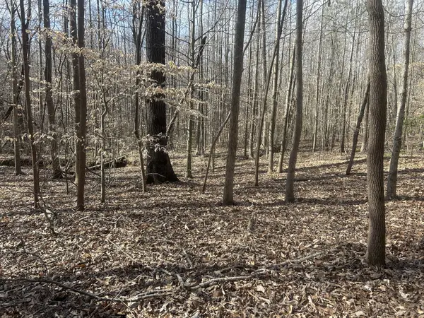 0 Mt Carmel Rd, Camden, TN 38320
