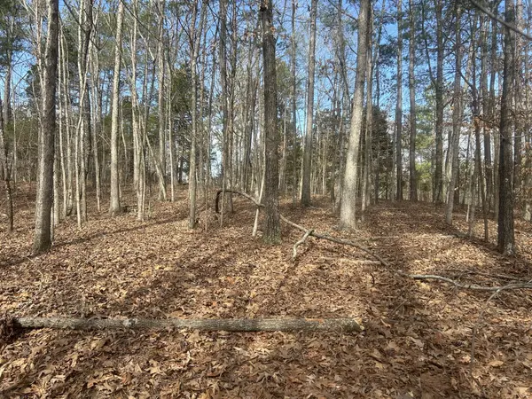 0 Mt Carmel Rd, Camden, TN 38320