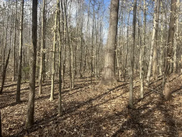 0 Mt Carmel Rd, Camden, TN 38320