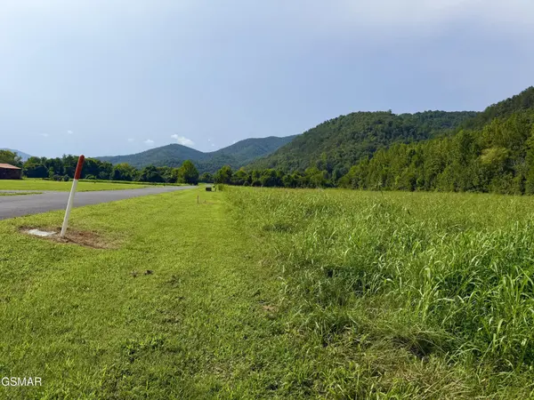 145 River Rapids Way, Del Rio, TN 37727