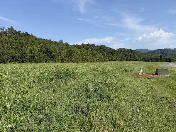 145 River Rapids Way, Del Rio, TN 37727