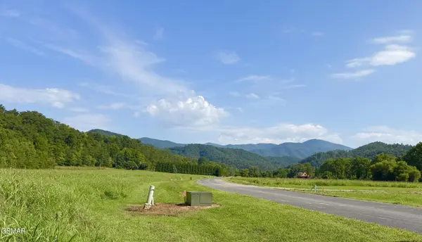 146 River Rapids Way, Del Rio, TN 37727