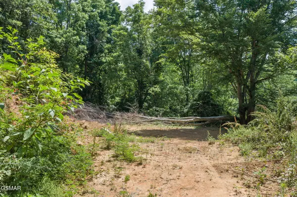 520 Verless Ogle Road, Sevierville, TN 37876