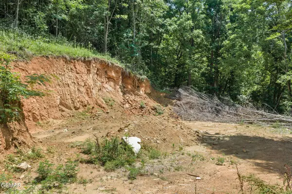 520 Verless Ogle Road, Sevierville, TN 37876