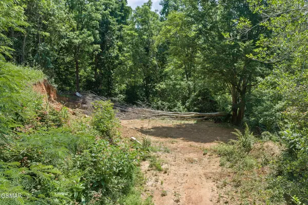 520 Verless Ogle Road, Sevierville, TN 37876