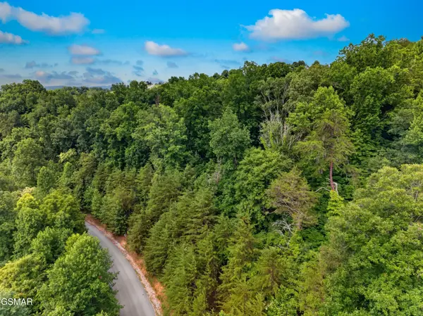 452 Silver Trail, New Tazewell, TN 37825