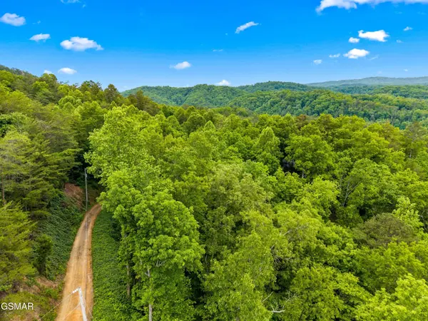 9 Red Bone Way, Sevierville, TN 37876