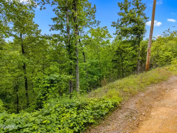 9 Red Bone Way, Sevierville, TN 37876