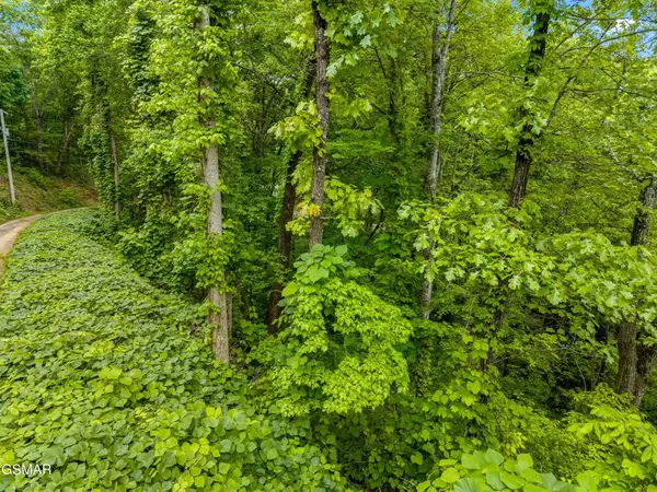 9 Red Bone Way, Sevierville, TN 37876