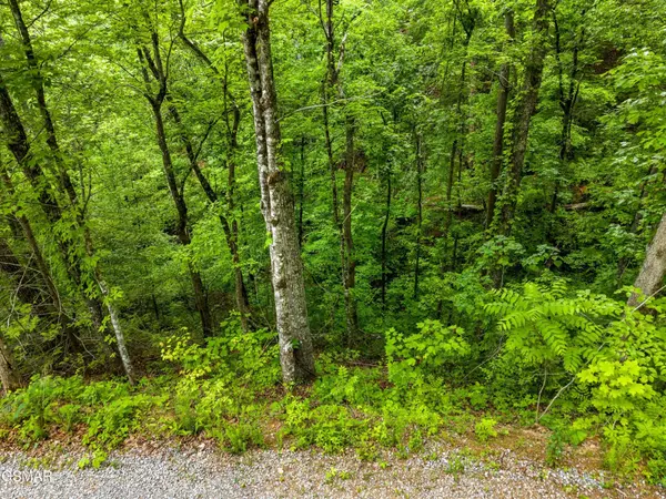 11 Red Bone Way, Sevierville, TN 37876