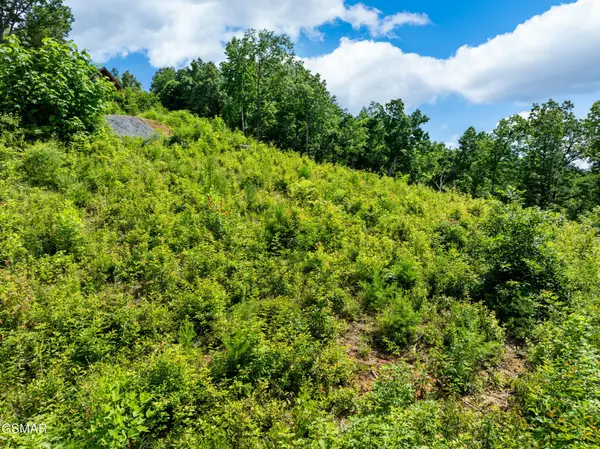 648 Almost Heaven Way, Gatlinburg, TN 37738