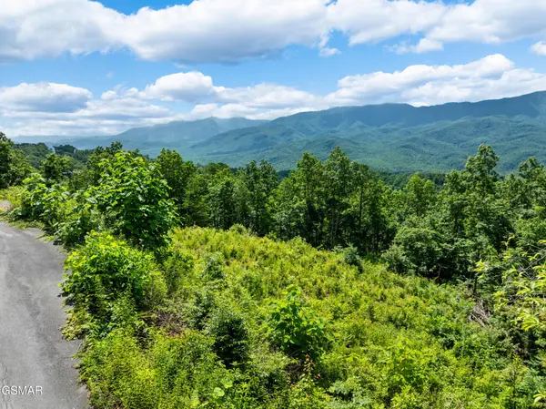 648 Almost Heaven Way, Gatlinburg, TN 37738