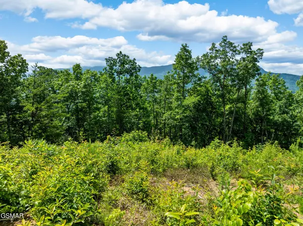 648 Almost Heaven Way, Gatlinburg, TN 37738