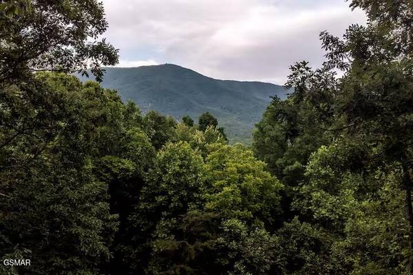 3436 Quail Way, Sevierville, TN 37862