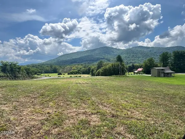 5418 Cocke County Line Road, Cosby, TN 37722