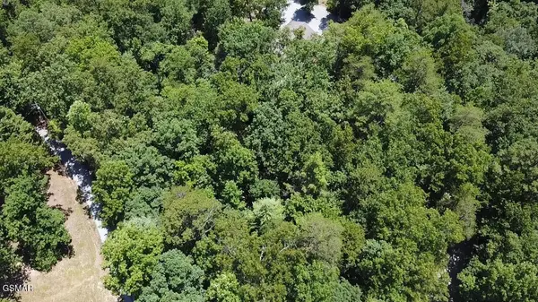 0 Chinquapin Drive, Sevierville, TN 37862