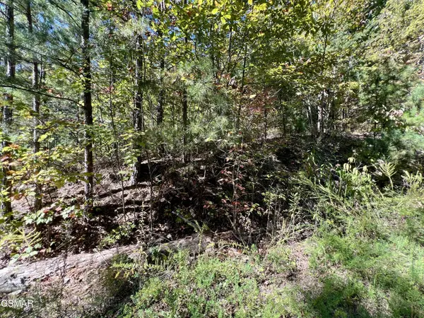 561 Creek Hollow Way, Sevierville, TN 37876