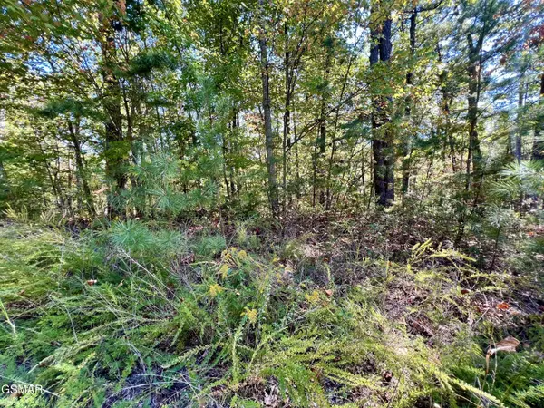 561 Creek Hollow Way, Sevierville, TN 37876
