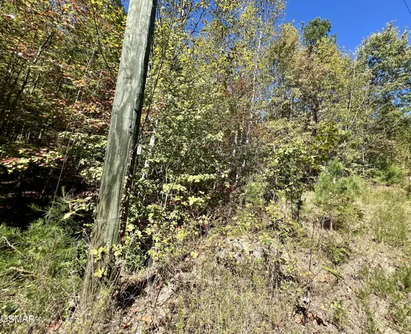 561 Creek Hollow Way, Sevierville, TN 37876