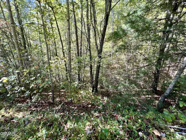 6 Creek Hollow Way, Sevierville, TN 37876