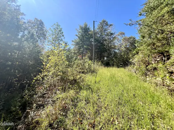 6 Creek Hollow Way, Sevierville, TN 37876