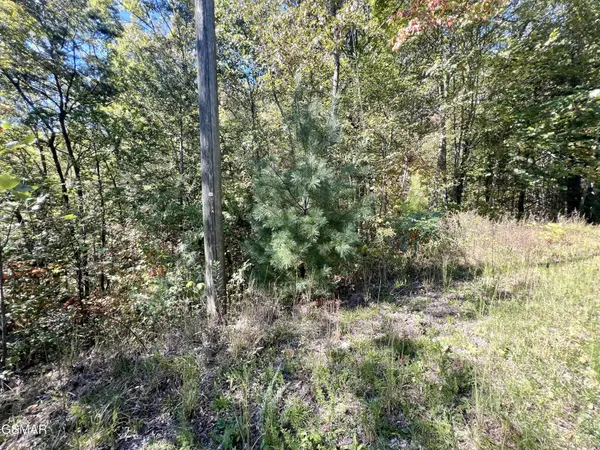 6 Creek Hollow Way, Sevierville, TN 37876