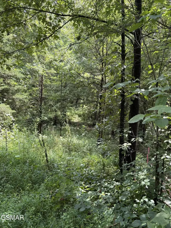 3 Midway Road, Strawberry Plains, TN 37871