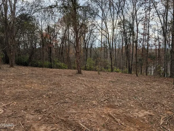3 Midway Road, Strawberry Plains, TN 37871
