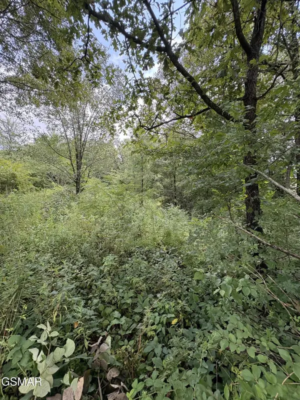 34 Midway Road, Strawberry Plains, TN 37871