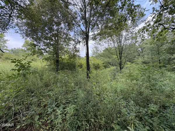 4 Midway Road, Strawberry Plains, TN 37871