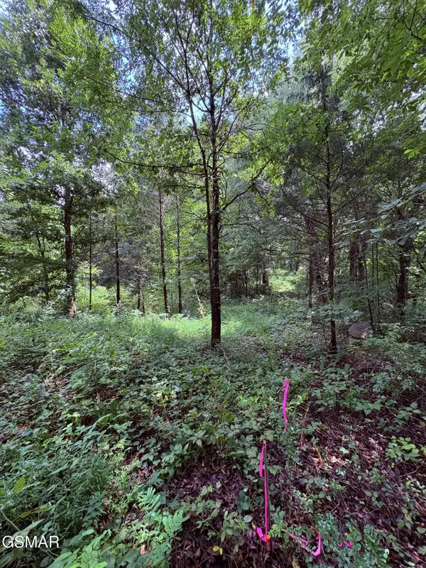 4 Midway Road, Strawberry Plains, TN 37871