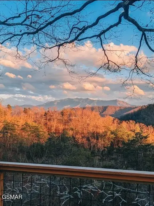 1146 Pine Mountain Road, Sevierville, TN 37862