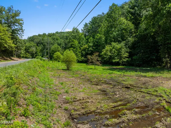 0 Jones Cove Road, Sevierville, TN 37876