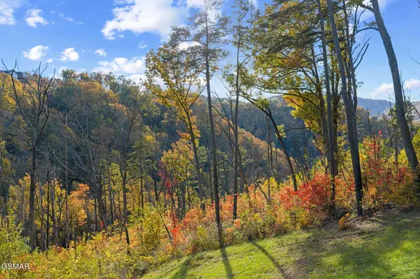 2216 Headrick Lead, Sevierville, TN 37862