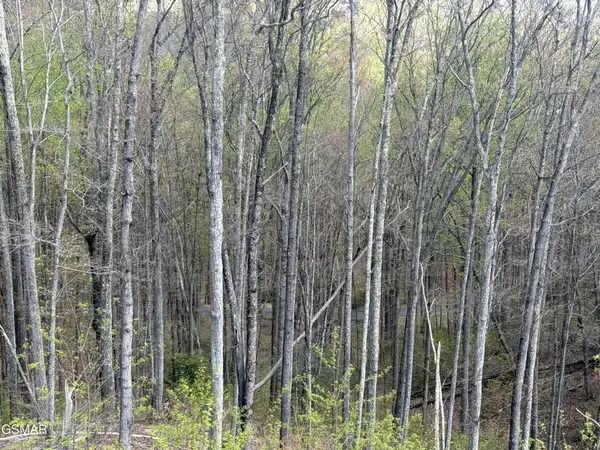 1440 Laurel Road, Gatlinburg, TN 37738