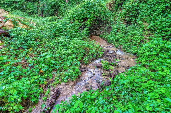 2665 Black Walnut Flats Road, Sevierville, TN 37862