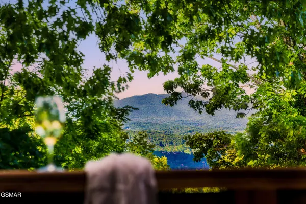 1441 S Baden Drive, Gatlinburg, TN 37738