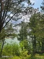 18 Bay View Point, Sevierville, TN 37876