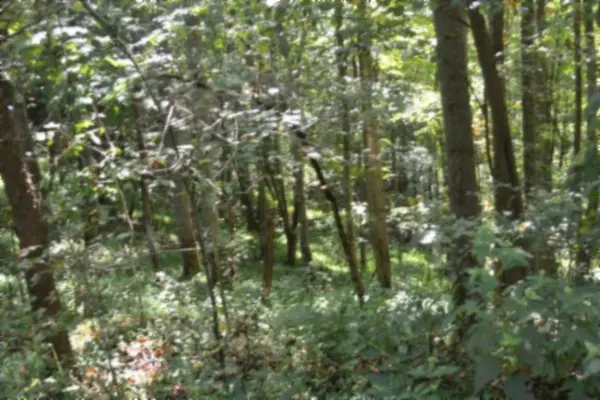 2121 Riley Creek Rd, Whitleyville, TN 38588