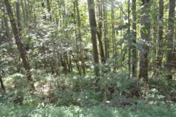 2121 Riley Creek Rd, Whitleyville, TN 38588