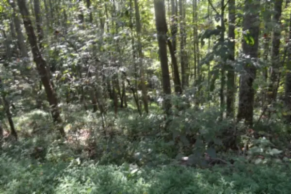 2121 Riley Creek Rd, Whitleyville, TN 38588