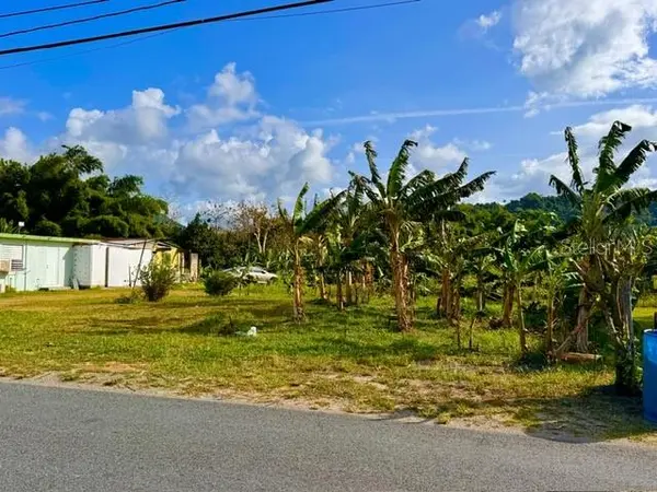 BO LIMONES 2, Yabucoa, PR 00767
