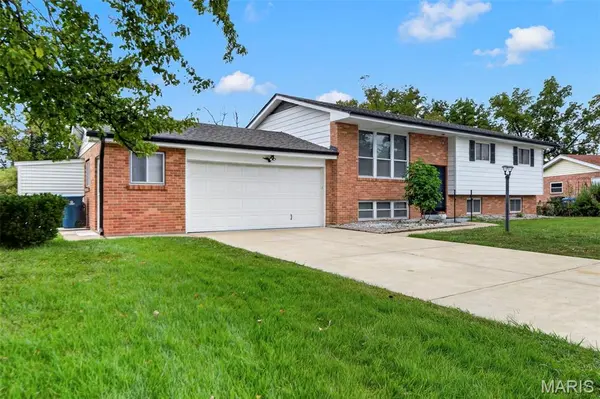 11029 Patrina CT, St Louis, MO 63126