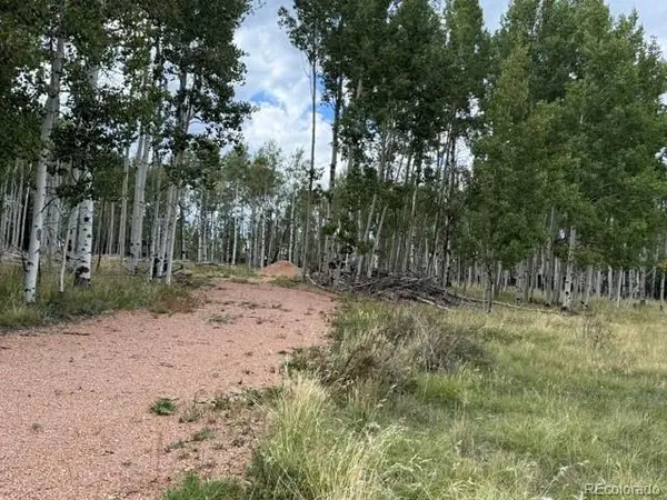 455 Aspen Way DR, Florissant, CO 80816
