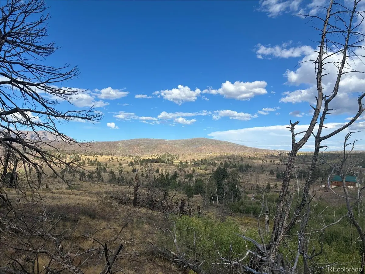 790 Duckworth, Fort Garland, CO 81133