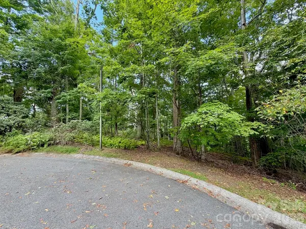 TBD Galax LN #45, Banner Elk, NC 28604