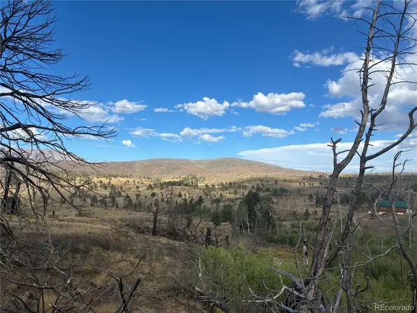 790 Duckworth, Fort Garland, CO 81133