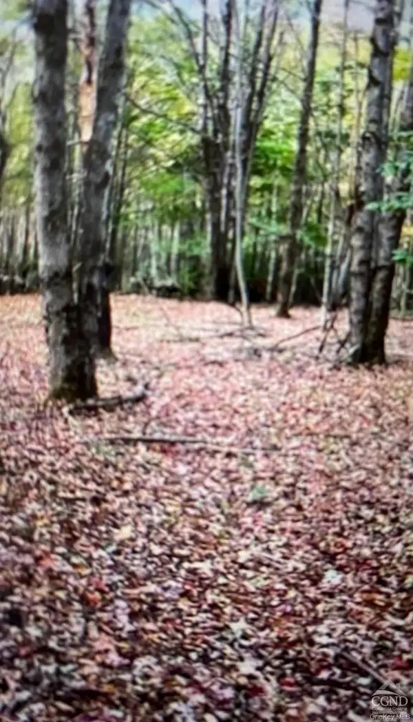County Route 312, Call Listing Agent, NY 12045